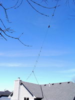 My dipole, view 2